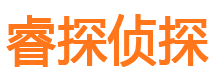 东山侦探公司